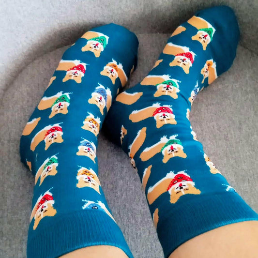 Calcetines corgi